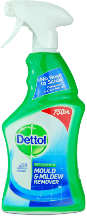 Dettol Anti-Bacterial Mould & Mildew Remover 750ml